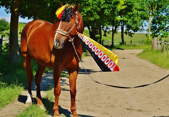 纳尼：曼联需要引进中场，若昂·内维斯是绝佳人选